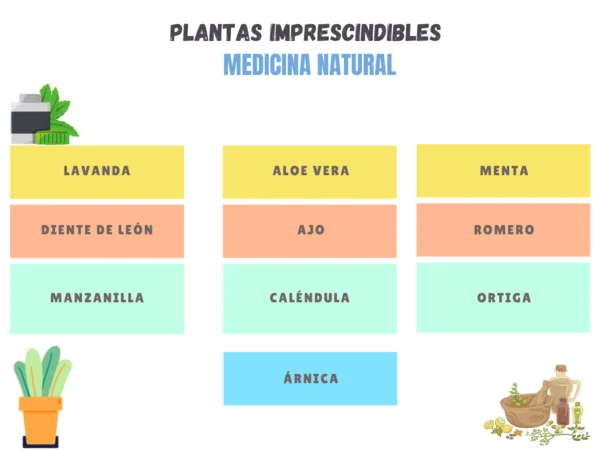 Cursos de medicina natural